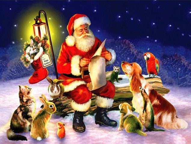 Santa With Animals And Birds Bead Painting Kit