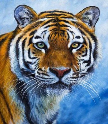 Serene Tiger Diamond Bead Art Kits