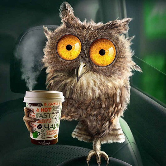 Sleepy Owl With Cup Of Coffee Bead Art Kits