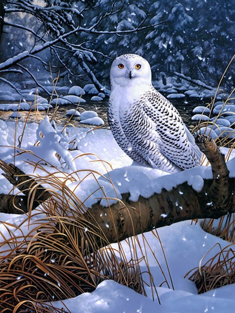 Snowy Owl Bead Art Kits