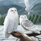 Snowy White Owls Bead Art Kits