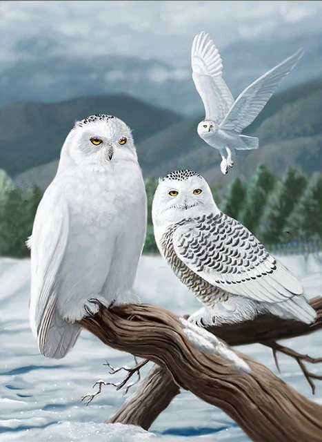 Snowy White Owls Bead Art Kits
