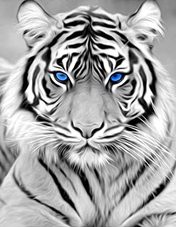 Stunning Blue Eyes Tiger Best Bead Art Kits