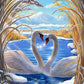 Swan Love Birds In Lake Diamond Bead Art