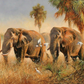 The African Elephants 5D Diamond Art Set