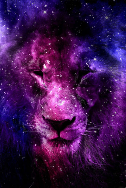 The Galaxy Lion 5D Diamond Bead Art