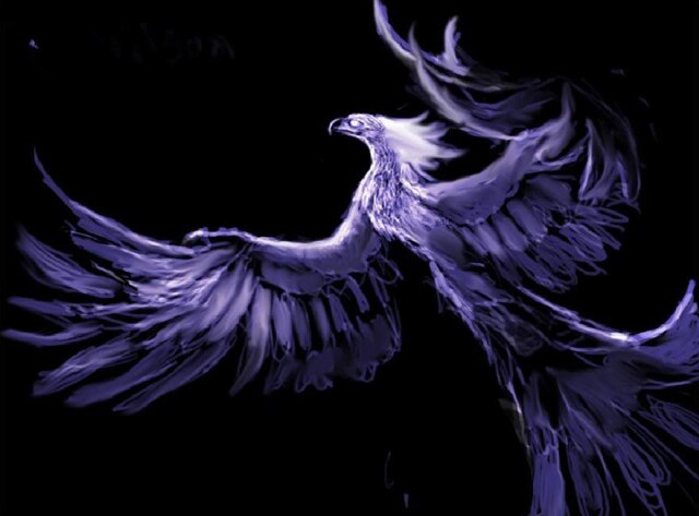 The Night Phoenix Bird Diamond Painting Art