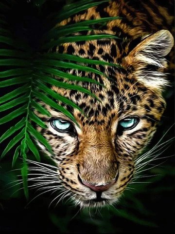 Tiger In Bush Diamond Bead Art
