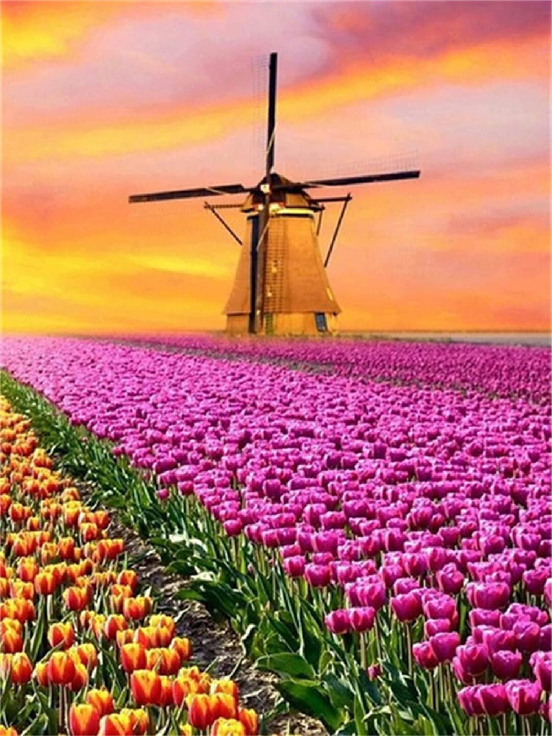 Tulip Festival And Windmill Diamond Painting