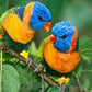 Two Multicolor Parrots Diamond Bead Art
