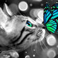 Best Cat & Butterfly Diamond Painting