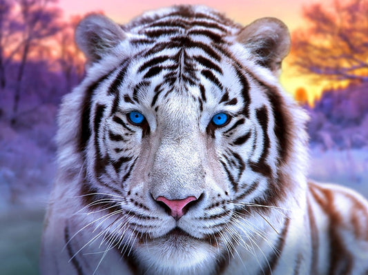 Mächtiger weißer Tiger - Diamantkunst 