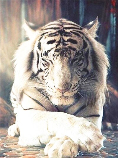 White Tiger Under Light Best Bead Art Kits