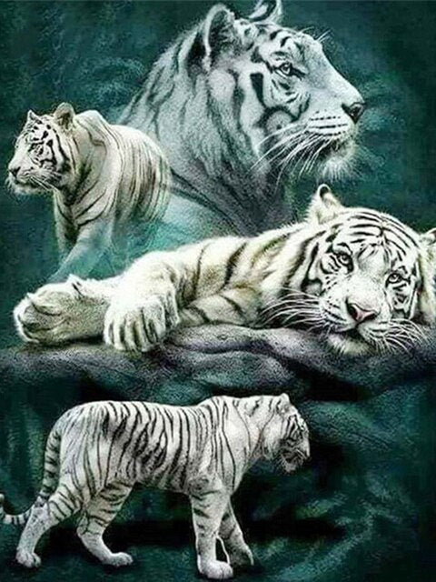 White Tigers 5D Diamond Bead Art