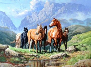 Wild Horses Diamond Bead Art Kits