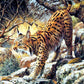 Wild Leopard Best Diamond Painting