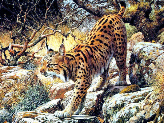 Wild Leopard Best Diamond Painting