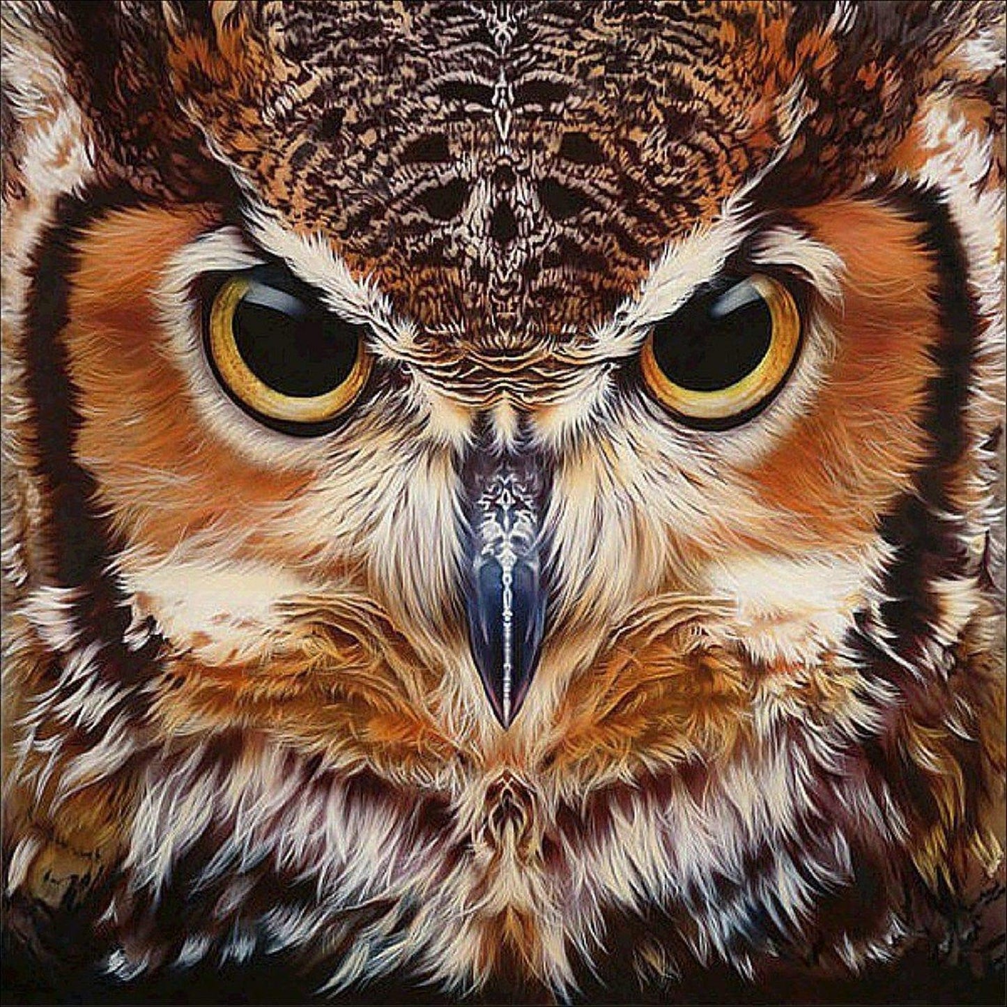 Wild Owl Diamond Art