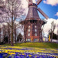 Windmill In The Park Diamond Art