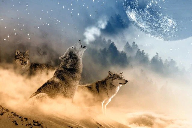 Wolves In Storm 5D Diamond Bead Art