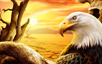 Wonderful Sunset And Eagle Diamond Painting Sets